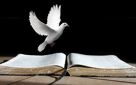 The Holy Spirit In The Bible And The Significance Of The Spirit In The 